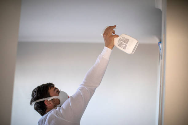 Best Post-Remediation Services in Shasta Lake, CA
