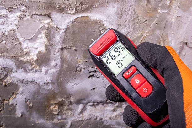 Best Mold Remediation for Specific Building Types in Shasta Lake, CA
